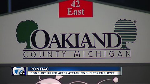 Dog shot, killed after attacking shelter employee in Pontiac