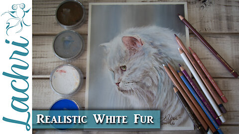 Tips for drawing white fur in colored pencil & Pan Pastels - Lachri