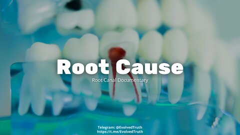 Root Cause (Full Documentary)