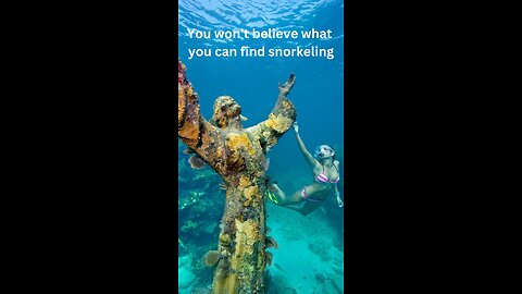 You Won’t Believe What You Can Find Snorkeling #snorkeling #underwaterphotography #sealife #scuba
