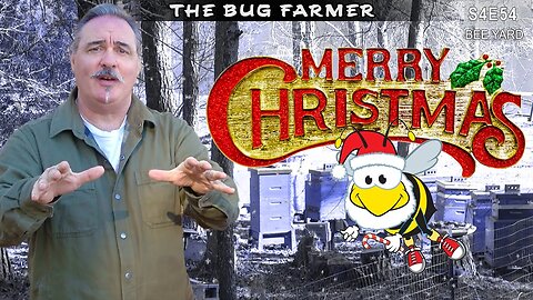 An Important Message From the Bug Farmer Channel #beekeeping #insects