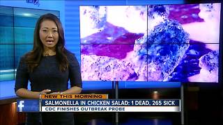 Salmonella in chicken salad kills 1, sickens 265 in 8 states