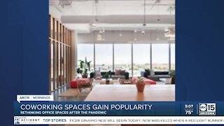 Co-working spaces gaining in popularity