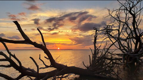 Jekyl Island