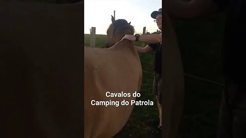 cavalos do Camping do Patrola em Glorinha RS #tendeuecoisarada #acampar #acampamento