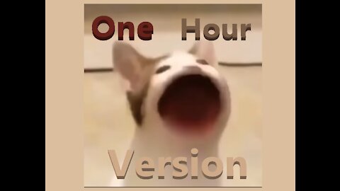 Popcat/Cat Mouth Noise Meme One Hour