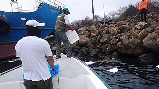 Oil Spill Off The Galapagos Islands Prompts State Of Emergency
