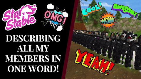 DESCRIBING MY CLUB MEMBERS USING ONLY ONE WORD! Star Stable Quinn Ponylord