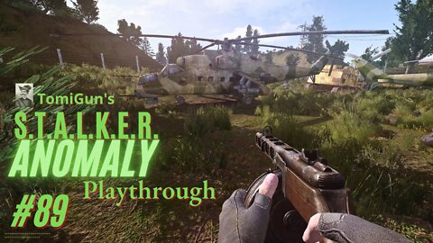 S.T.A.L.K.E.R. Anomaly #89: I Hate Military Stalkers Now, Very Much