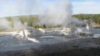 Yellowstone's Grotto Geyser