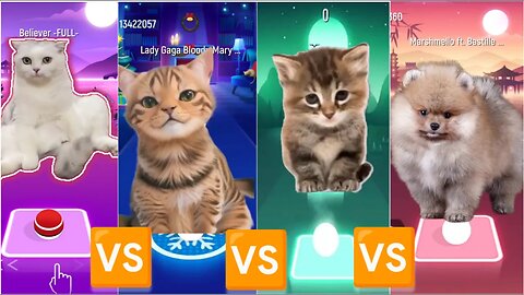 BELIEVER CAT VS BLOODY MARY CAT VS FLOWER CAT VS MARSHMELLOW DOG | TILES HOP