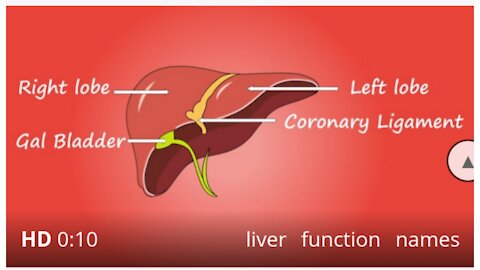 Liver function