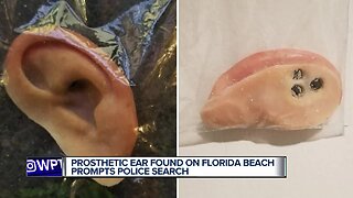 Owner sought after prosthetic ear found on Florida beach