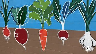 Local nonprofit helps the community through agriculture