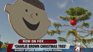 Cape Coral display pays tribute to A Charlie Brown Christmas