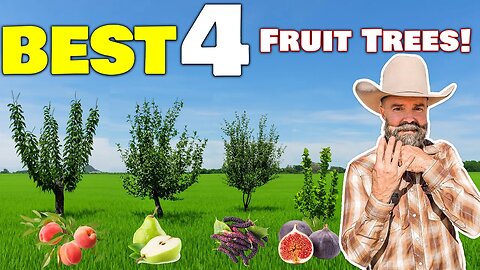 BEST 4 Fruit Trees YOU Need To Plant RIGHT NOW! • SURVIVAL ORCHARDS-Food 401K
