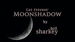 Moonshadow - Cat Stevens (cover-live by Bill Sharkey)
