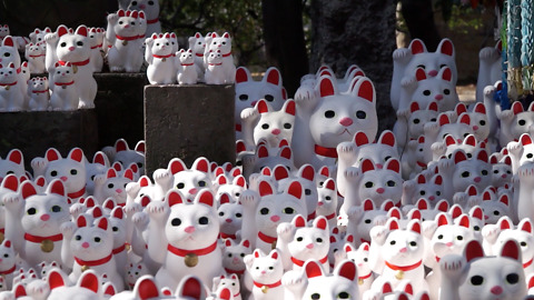 This Japanese Temple Features 1000 Lucky Cat Dolls