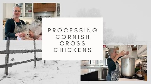 Processing Cornish Cross Chickens From Murray McMurray