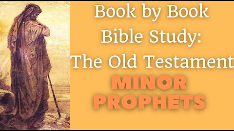 Book by Book Bible Study: The Old Testament - Part V - Minor Prophets