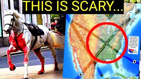 WARNING! Bloody Horses In London May Be A Prophecy