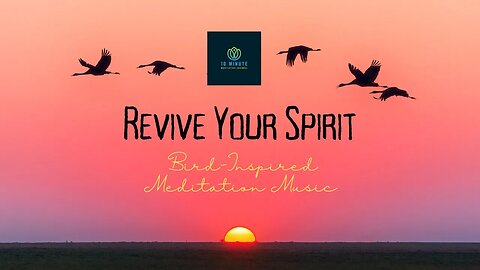 Revive Your Spirit: Bird-Inspired Meditation Music #meditation #relaxing #10minutesmeditation
