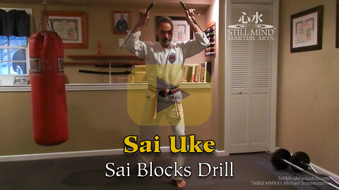 Sai Uke (Blocks) Drill