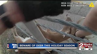Deputy rescues deer from road