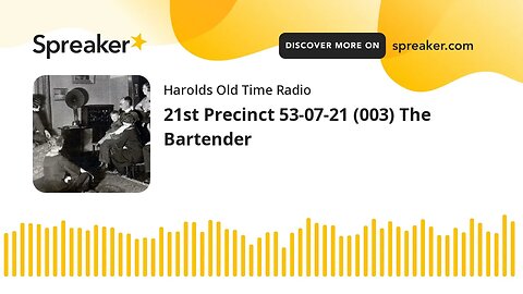 21st Precinct 53-07-21 (003) The Bartender