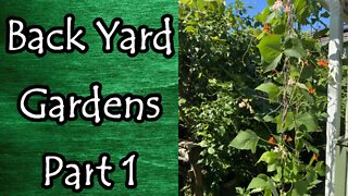 Backyard Gardens Part 1 August 2022