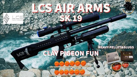 LCS Air Arms SK19 in 5.5mm heavy pellet&slugs
