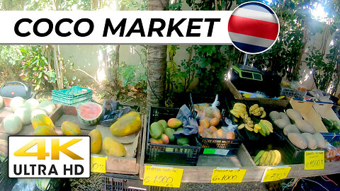 [4K] COCO MARKET // Every Sunday Check Out The Food, Arts, Crafts & More [2024]#costarica