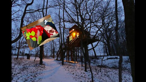 Spending our 2021 valentine's day weekend in a treehouse in the middle of the woods