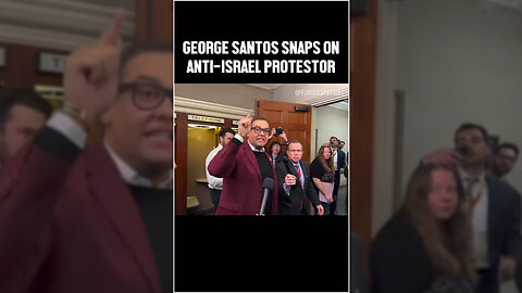 George Santos Snaps On Anti-Israel Protestor