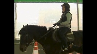 South Korean Horse Therapy