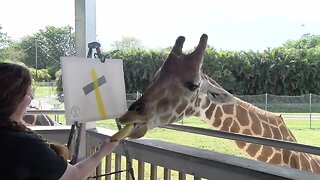 Giraffe paints banana and duct tape masterpiece