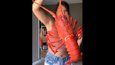 Lobster Cooking Video