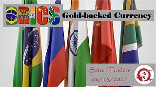 Robert Moriarty (321gold) on BRICS Gold-backed Currency - Satori Traders