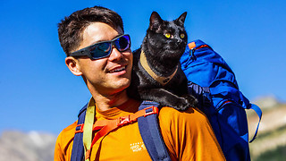 The Backpacking Cat That Travels The US With His Human