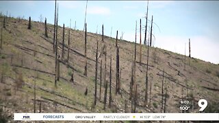 Threats remain one year after Bighorn Fire