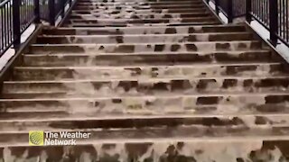 Rainwater cascades down New Brunswick steps