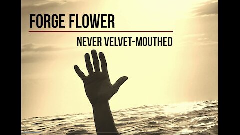 Never Velvet-Mouthed | A Voice