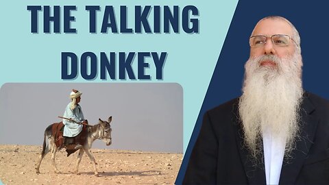 Parshat Chukat Balak. The talking donkey