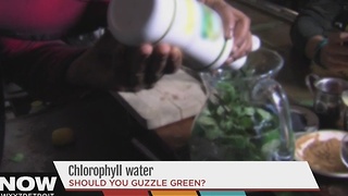 Chlorophyll water becoming popular