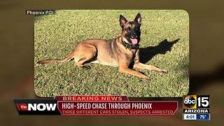 Suspect in custody after Phoenix police pursuit, police K-9 killed