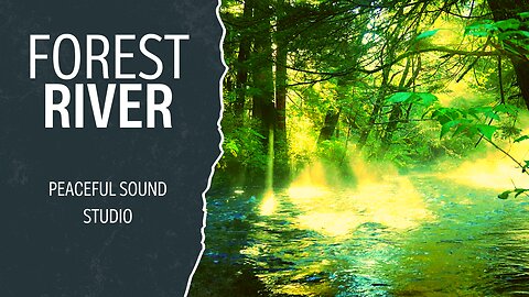 Feel the Vibe of Natural Forest River Bird Sound