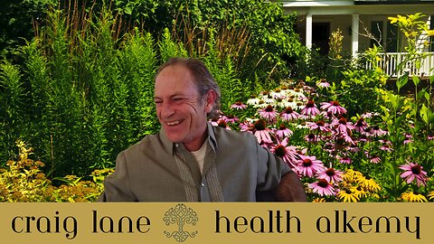 Health Alkemy Spring Health Reset - Go Deeper in the Ocean of Consciousness
