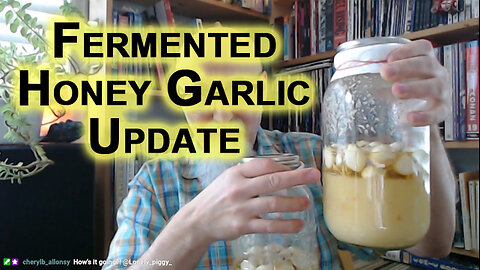Fermented Honey Garlic Update: Tasting and Show & Tell [ASMR, Eating, Food, Recipe, How to]