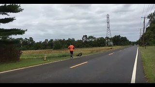 Turkey chases jogger || Viral Video UK