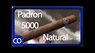 Padron 5000 Natural Cigar Review